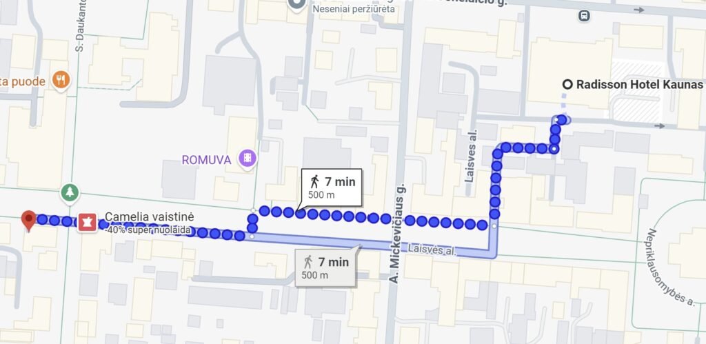 Viesbutis Kudirkos biblioteka